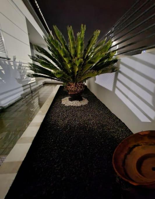 Vila Da Pesca House Rabo de Peixe المظهر الخارجي الصورة